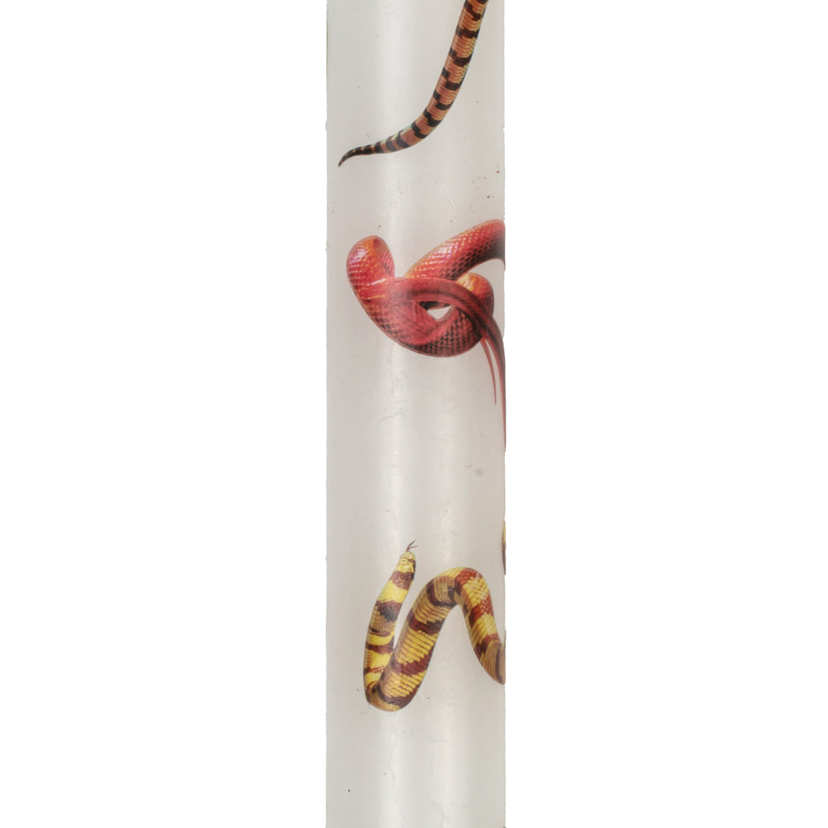 TOILETPAPER Set of 2 Stem Candles SNAKES WHITE