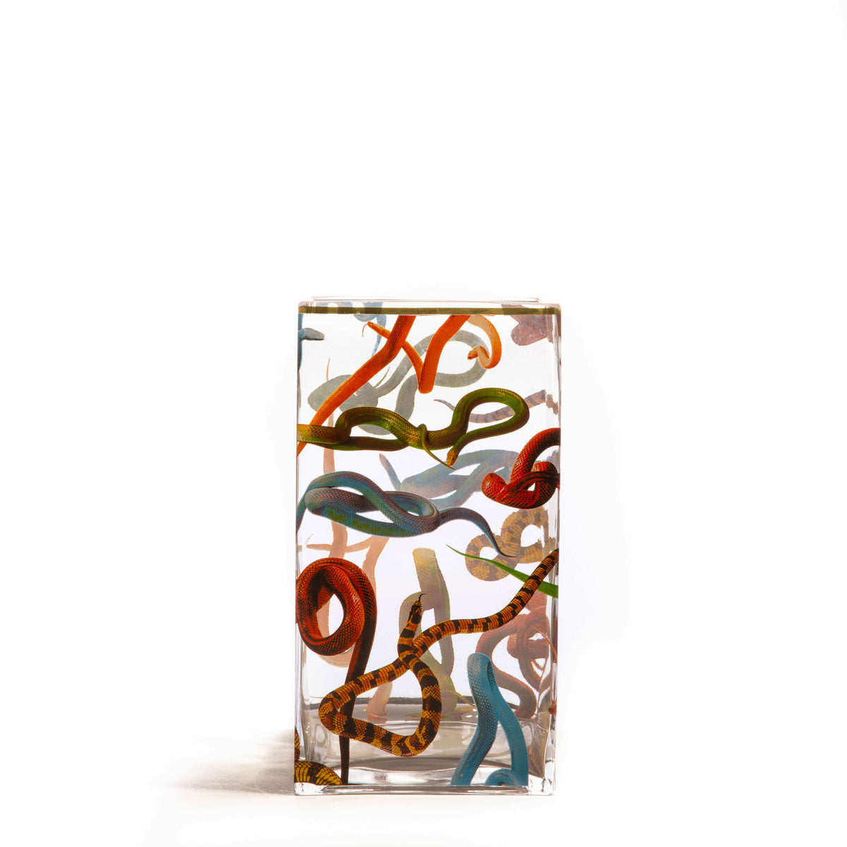 Glass vase big Snakes