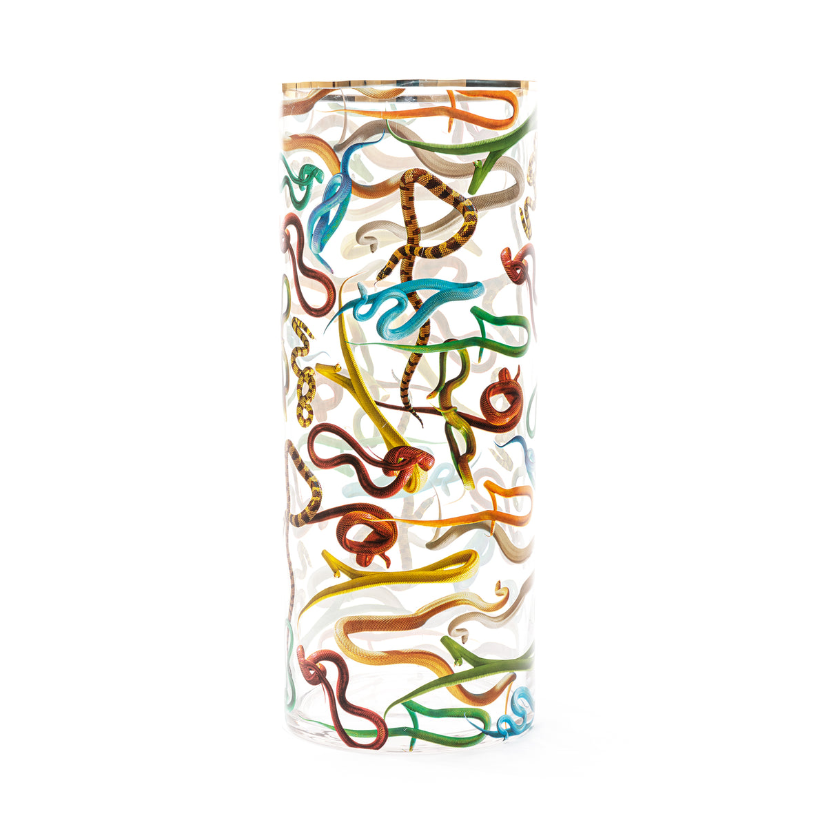 Vaso Cilindrico in Vetro Grande Snakes