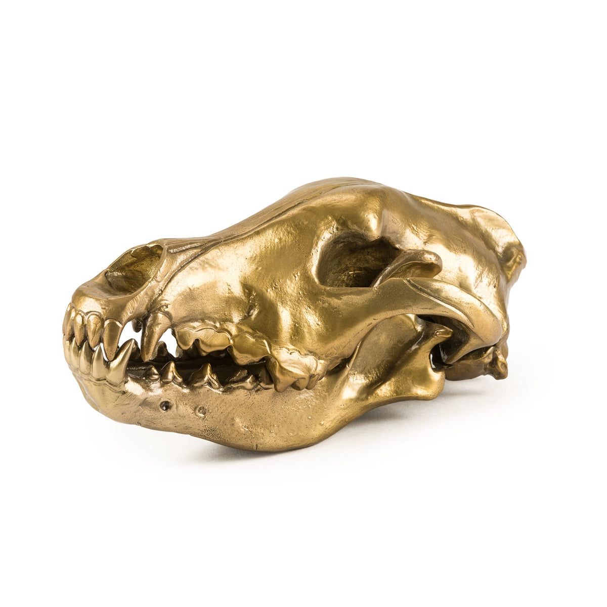 Wunderkrammer Wolf Skull