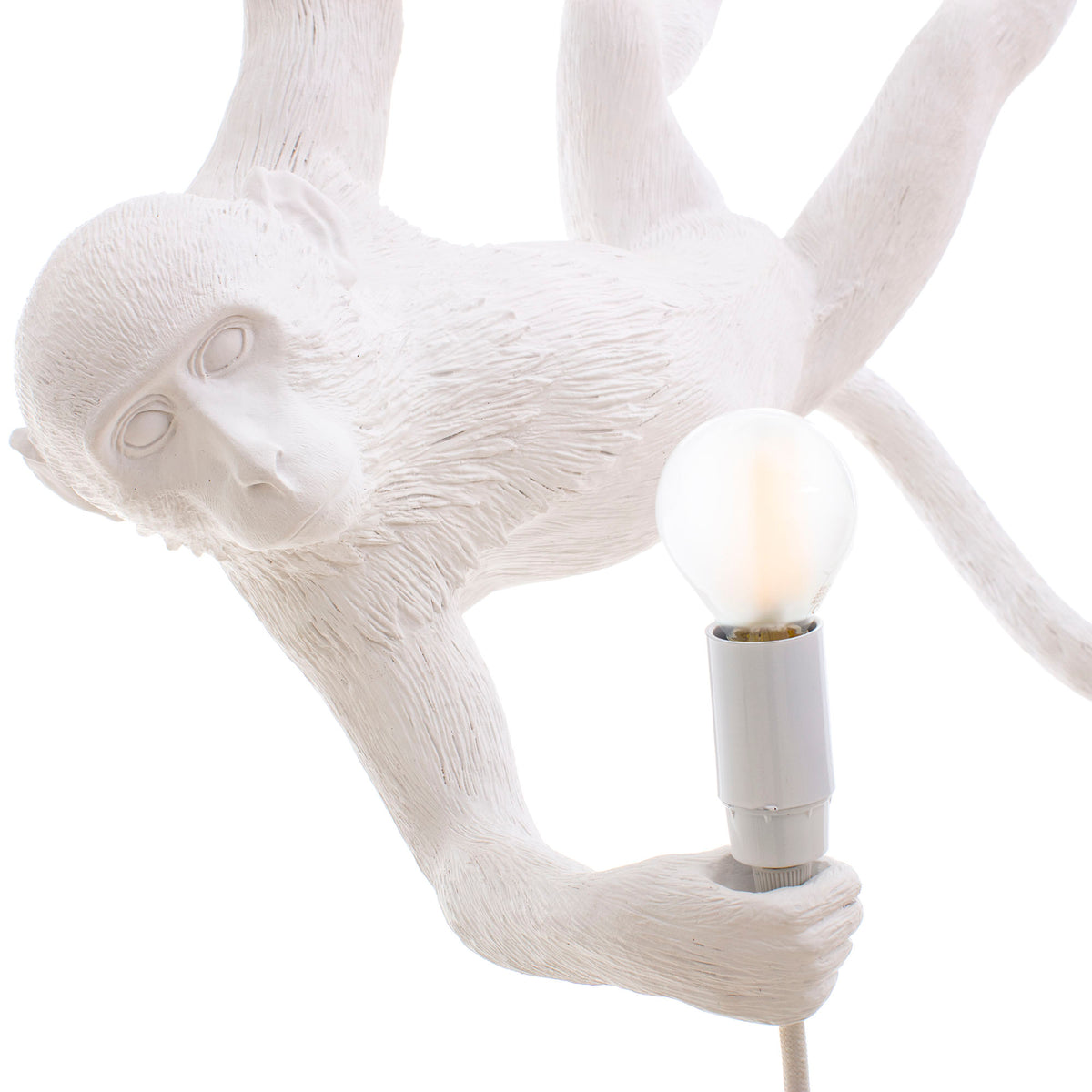 Monkey Lamp Lampadina