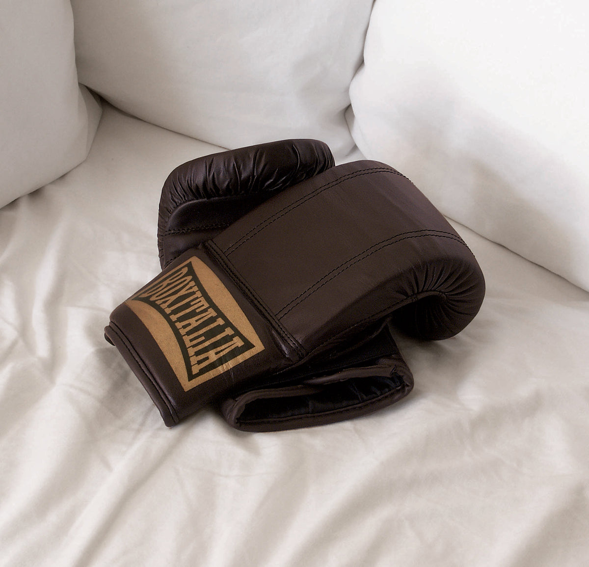 Boxitalia Boxe Gloves
