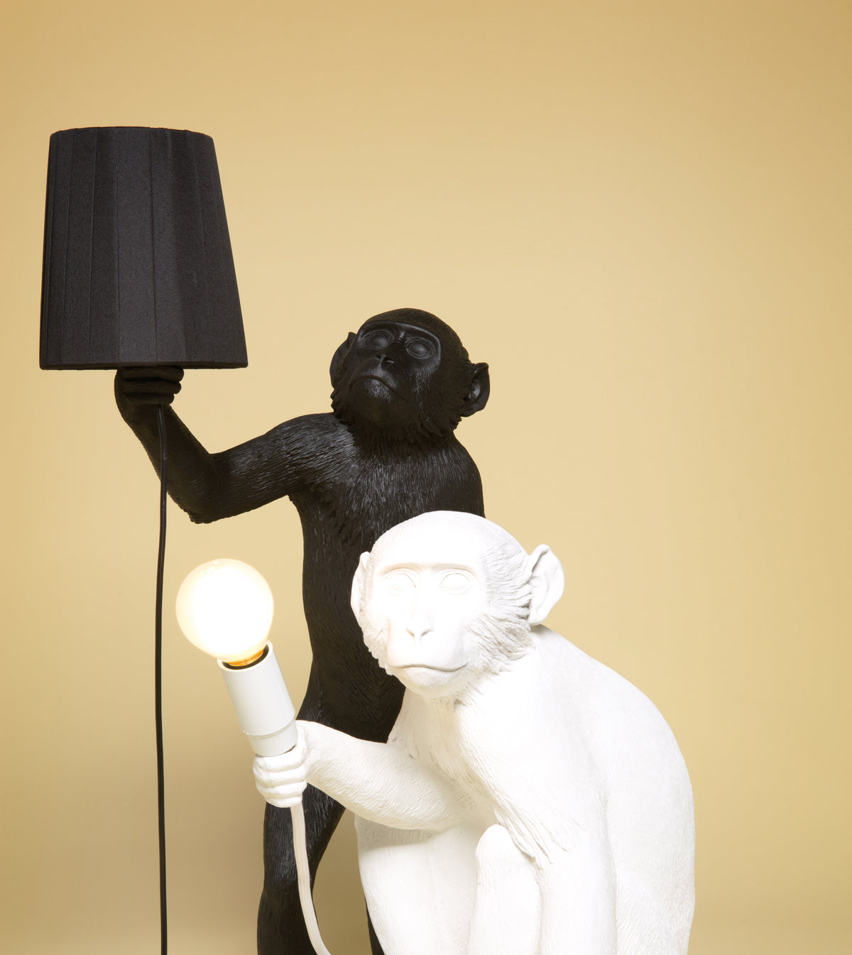 The Monkey Lamp Sitting Version