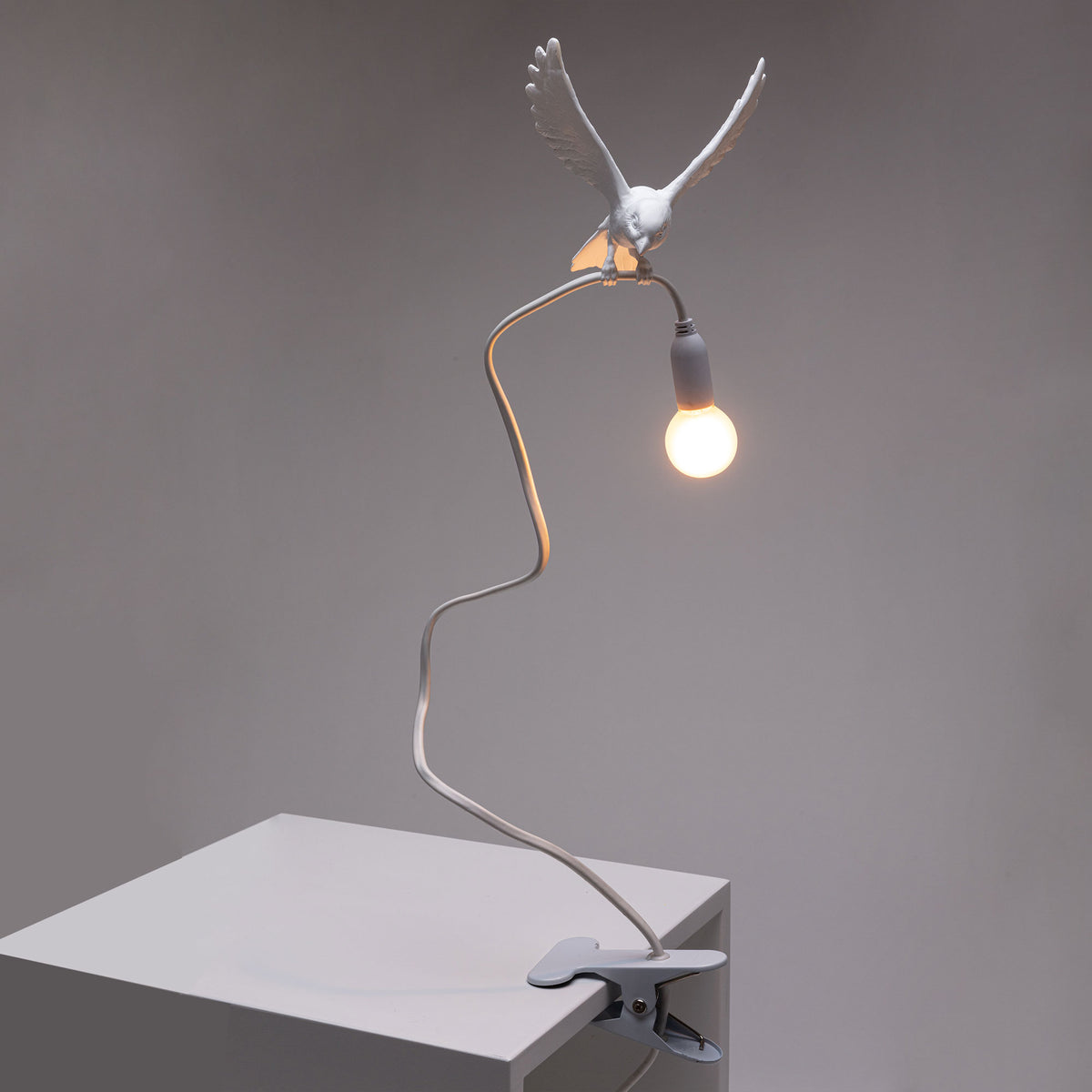 Sparrow Lamp with Clamp - Landing