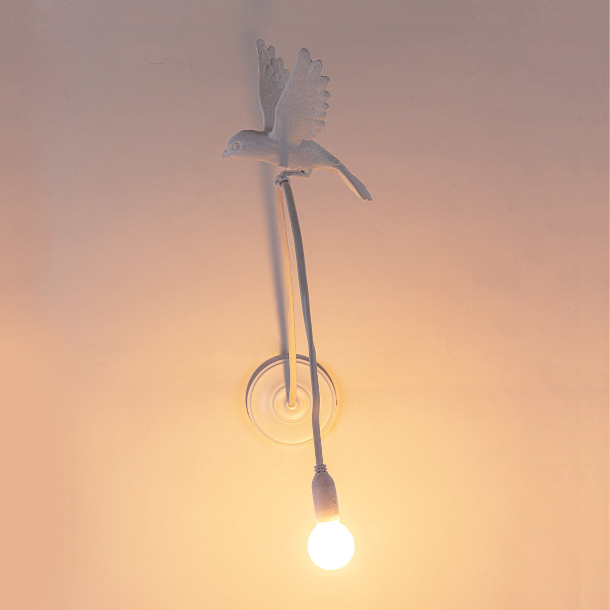 Sparrow Lamp Wall Lamp - Landing
