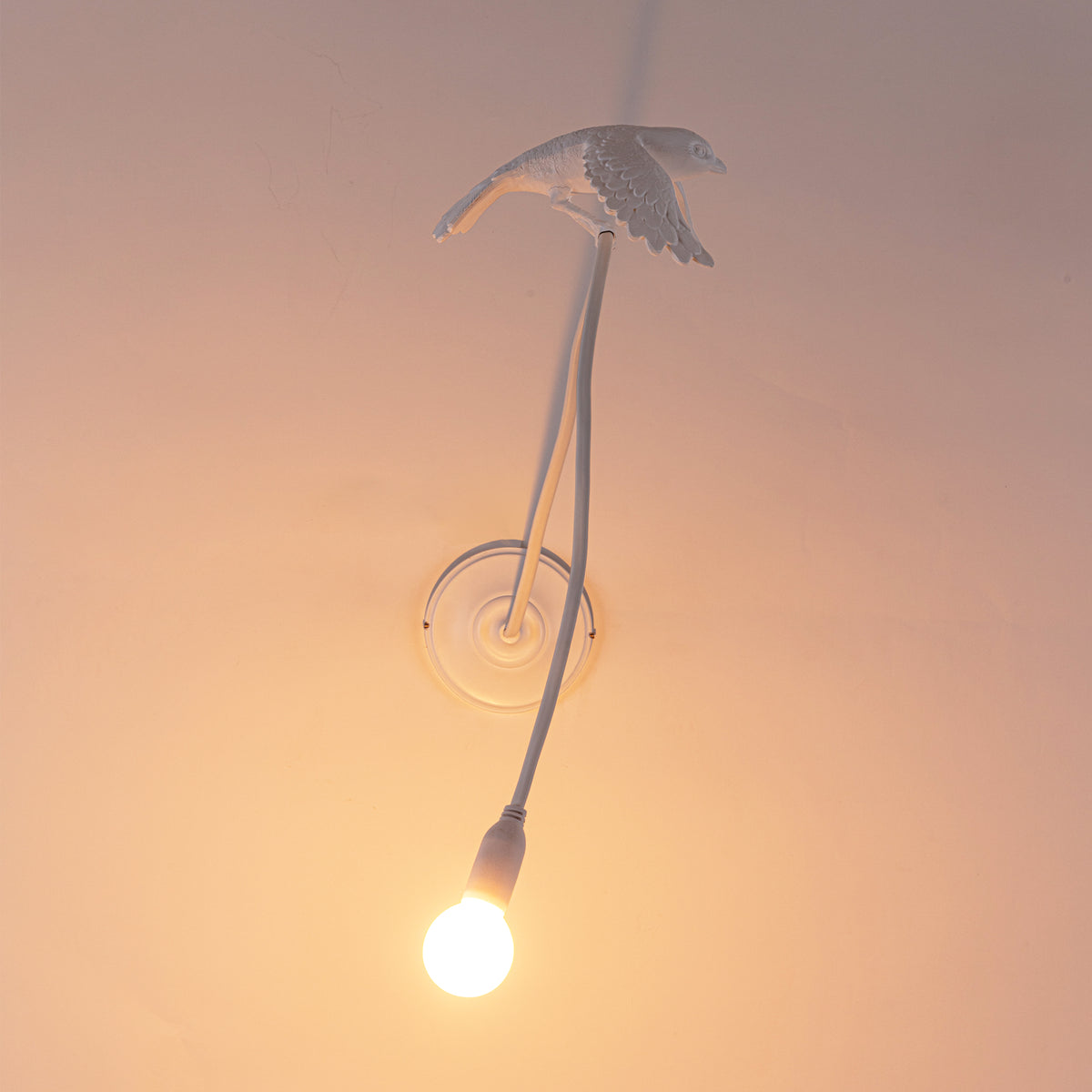Sparrow Lamp Wall Lamp - Taking off