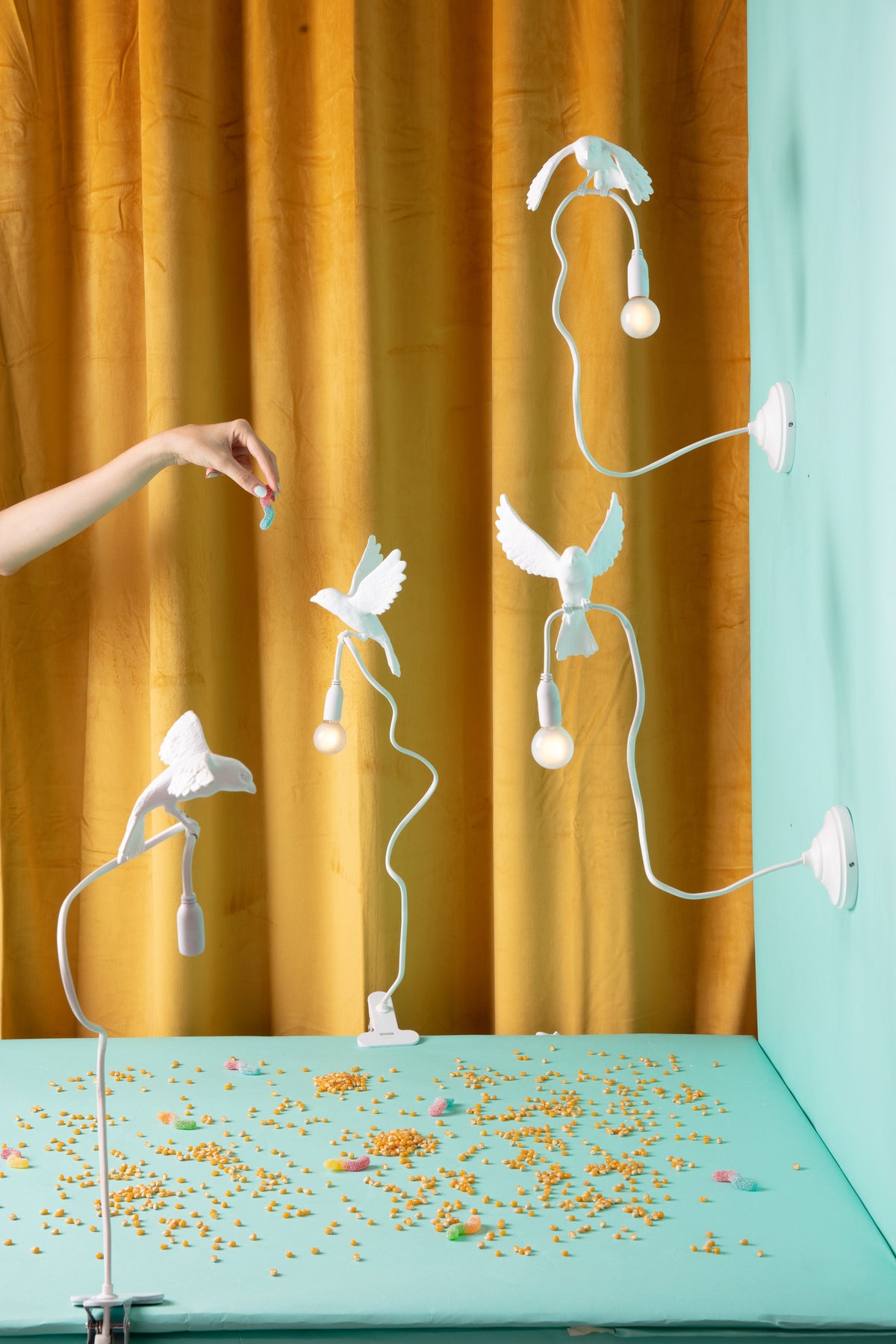 Sparrow Lamp with Clamp - Cruising