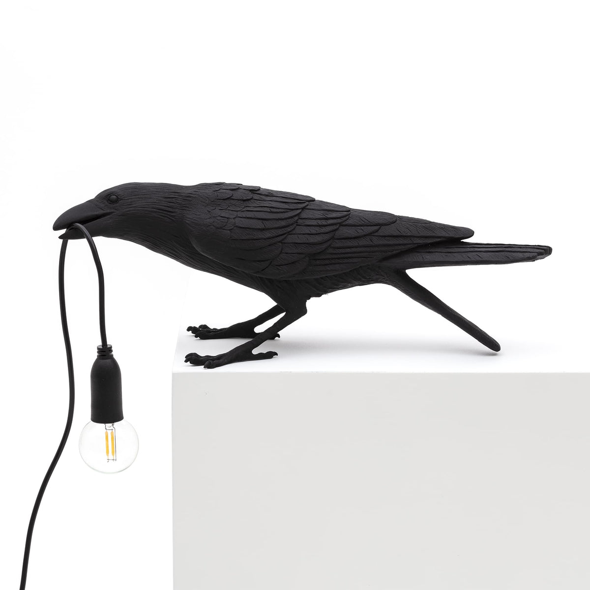 Lampada Uccello Nero Playing ALL'APERTO