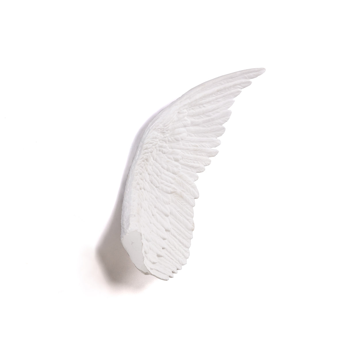 Memorabilia Mvsevm Wing Left