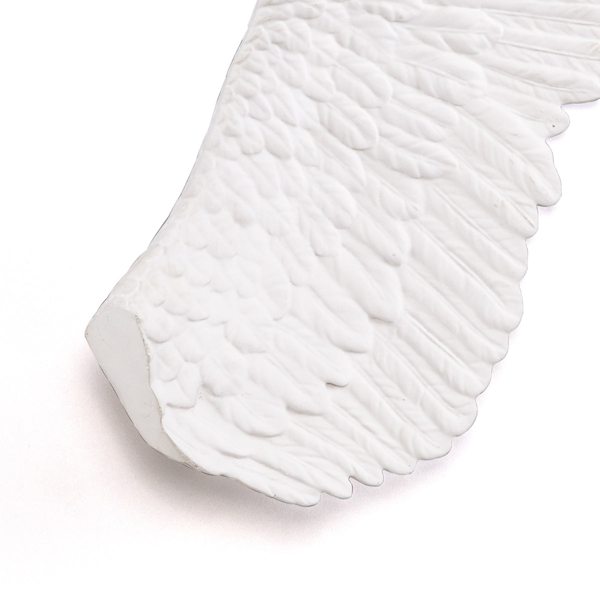 Memorabilia Mvsevm Wing Left