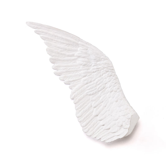 Memorabilia Mvsevm Wing Right
