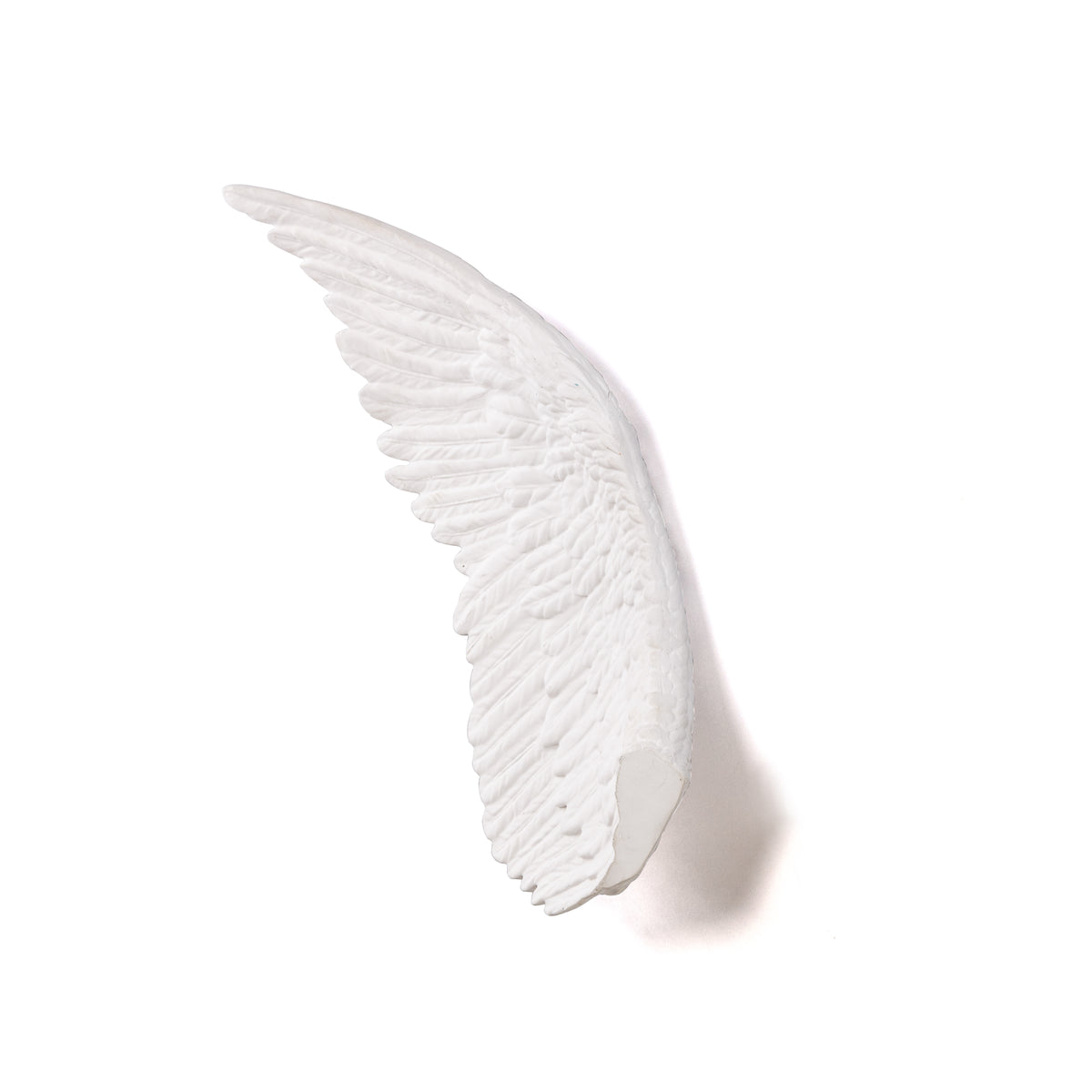 Memorabilia Mvsevm Wing Right