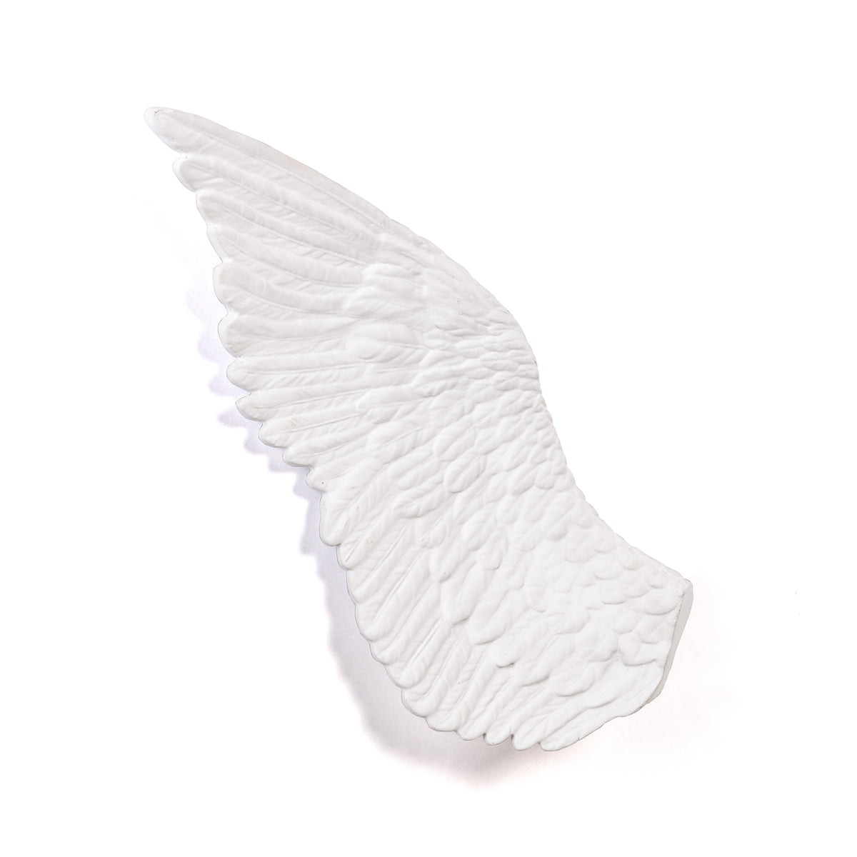 Memorabilia Mvsevm Wing Right