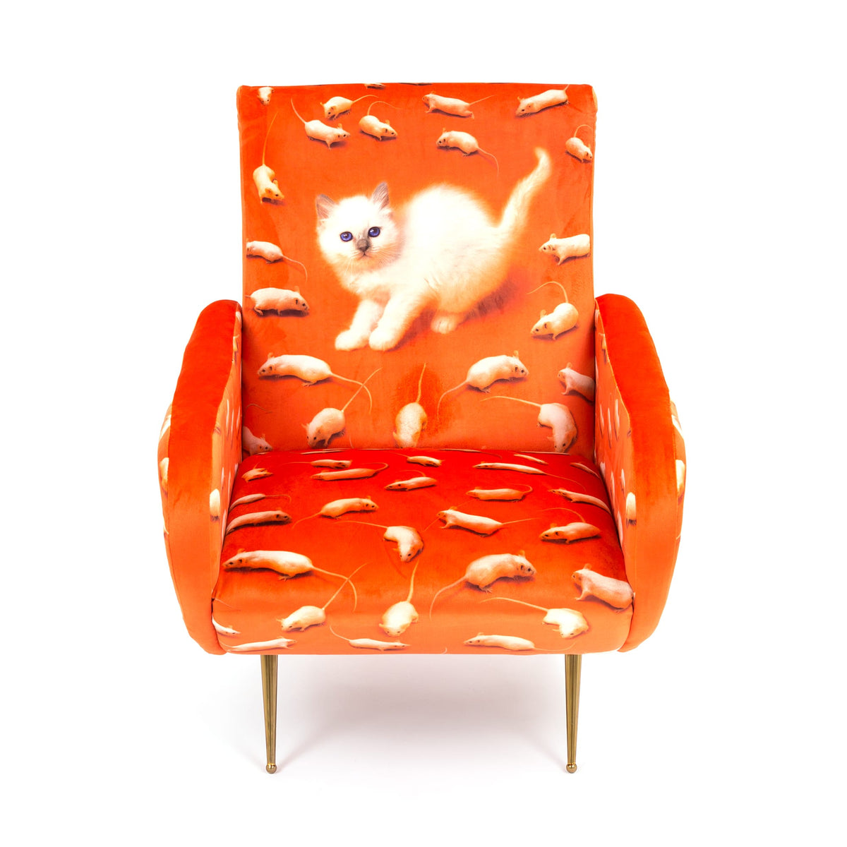 Armchair Kitten