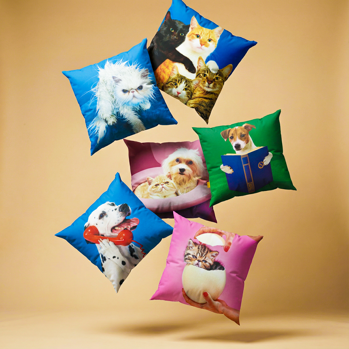 TOILETPAPER PETS CUSHION - ANGRY CAT