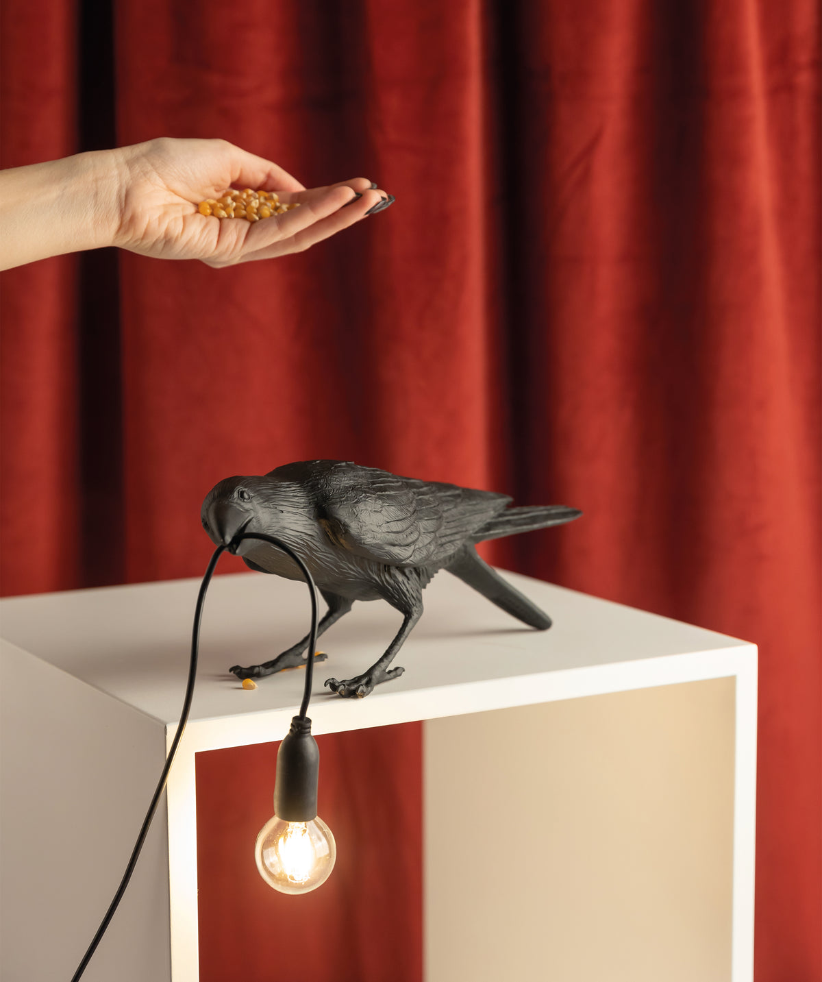 Bird Lamp Black Playing
