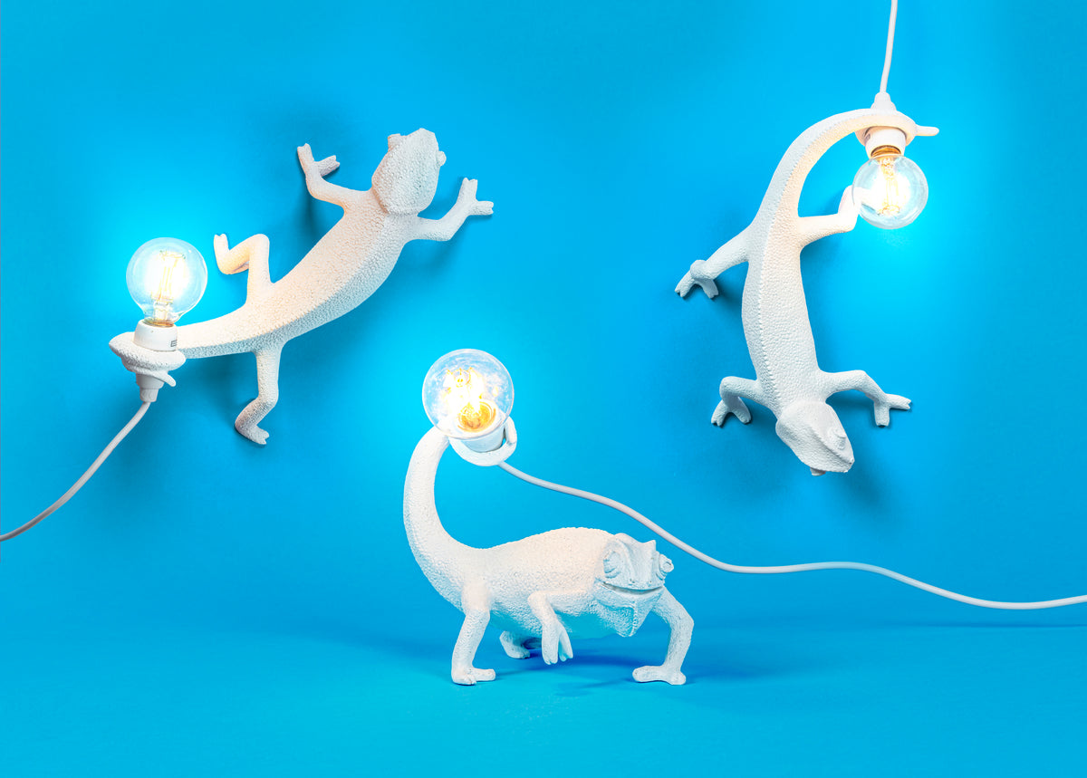 Chameleon Lamp Going Down USB