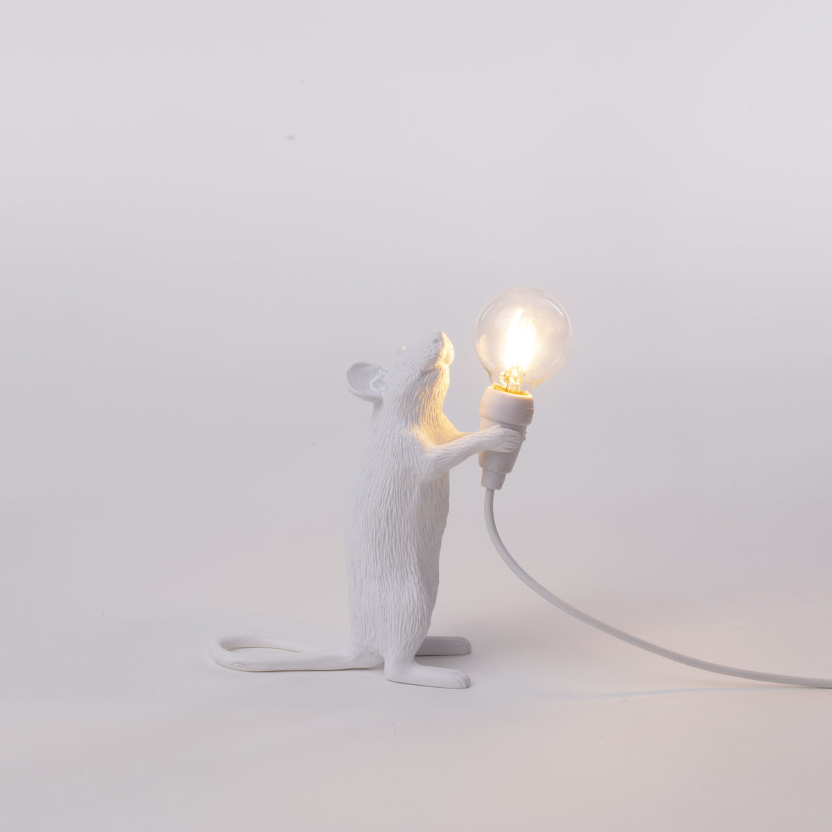 Mouse Lamp Step