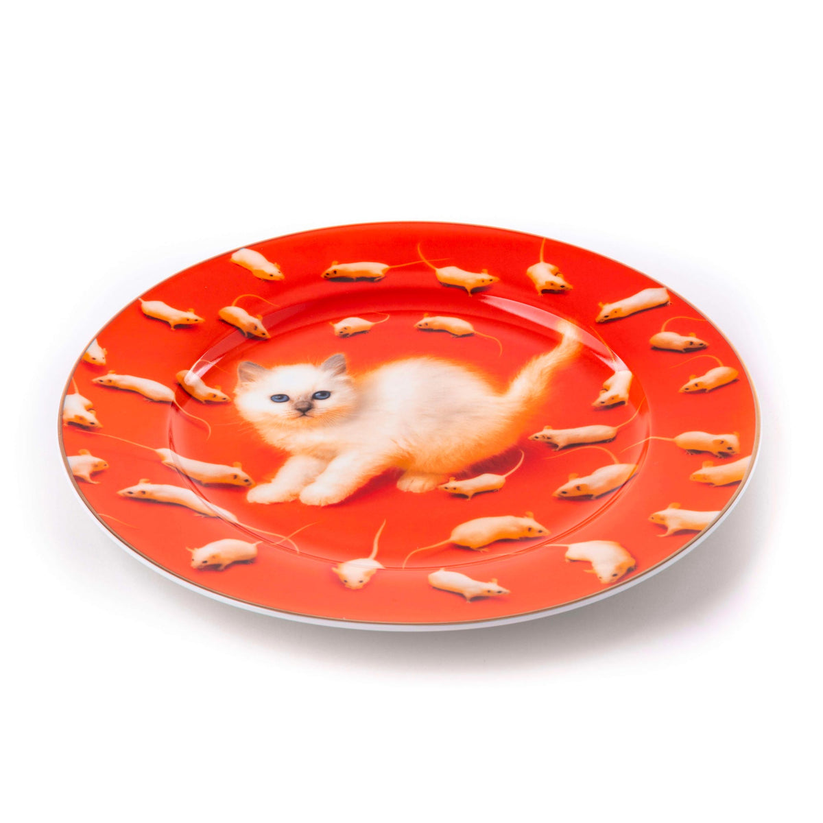 Piatto in Porcelana Kitten Gold Border