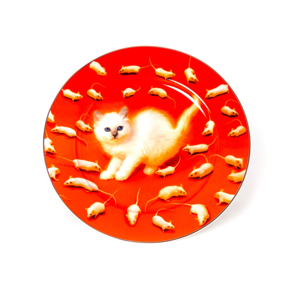 Piatto in Porcelana Kitten Gold Border