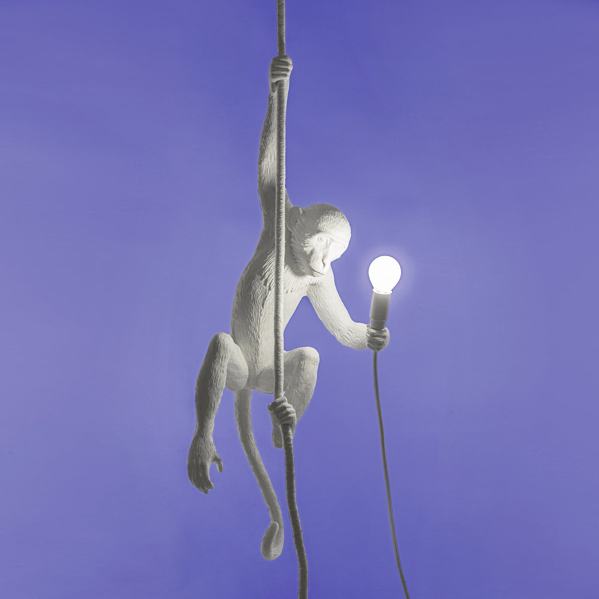 The Monkey Lamp Ceiling Version